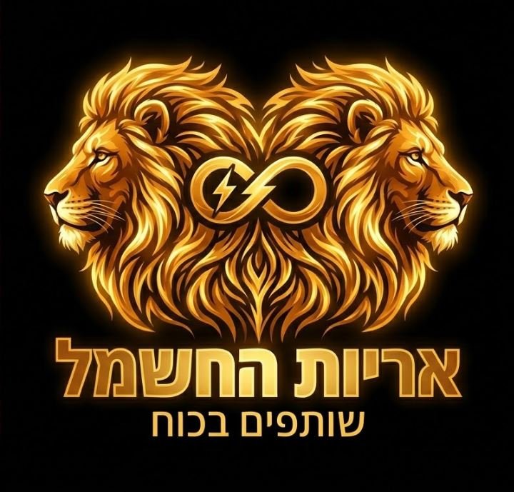 אריות החשמל - שותפים בכוח